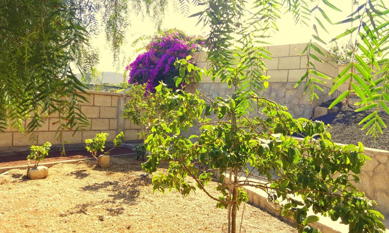 Casa Del Sur, En El Sur De Tenerife Villa Granadilla De Abona Ngoại thất bức ảnh